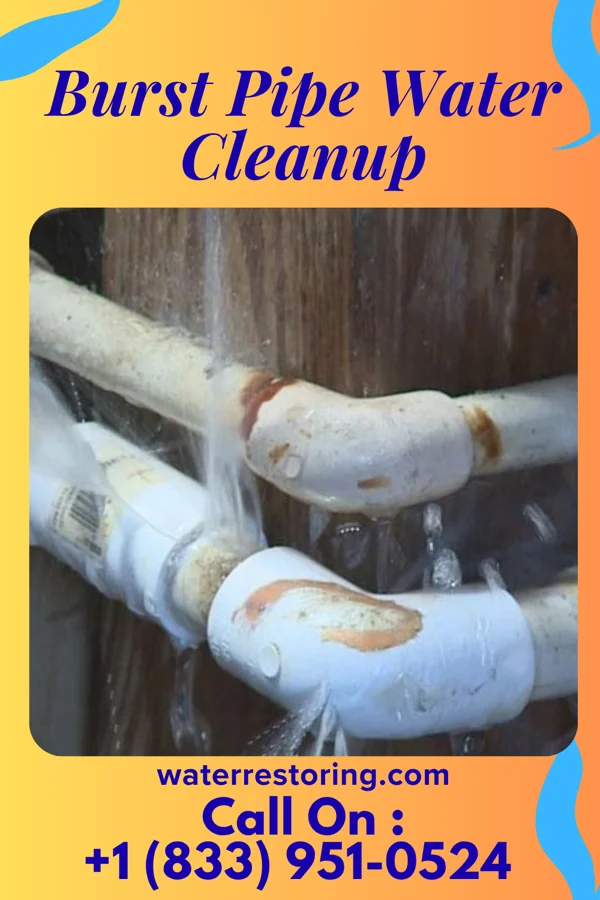 Burst Pipe Water Cleanup in Manchester, NH