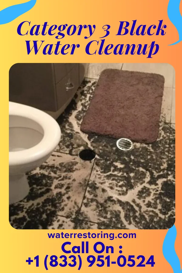 Category 3 Black Water Cleanup in Manchester, NH